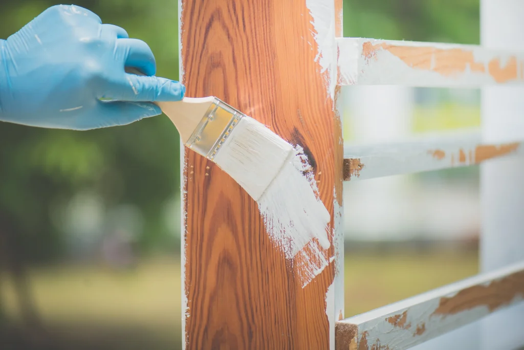 applying white paint to wooden fence outdoors 2026 09 24 23 52 32 utc